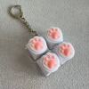 Square transparent shell-white cat claw-small d chain