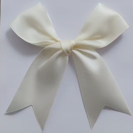 O1CN0124NWcq24wu7Hppvw5_!!2593