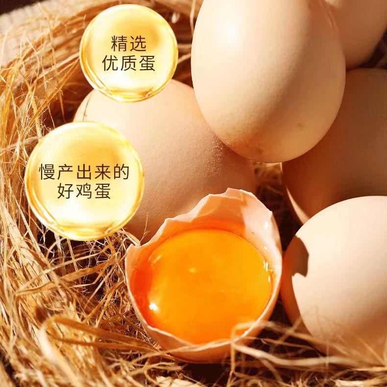 魏品 优选 鲜鸡蛋 农家土鸡蛋生态养殖