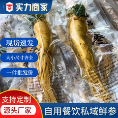 長白山高麗人参、新鮮な高麗人参、東北特産品、バルク卸売食品、鍋、業務用漢方薬原料、ワインとスープ用