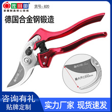 ������ 820��֦����԰�ֹ��߶������Ͻ���辰��԰�ռ�����ѷ����