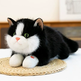 毛绒玩具;公仔抱枕;公仔挂件