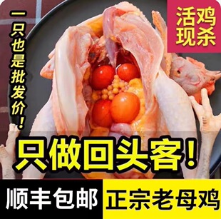 ��S�����r�ҬF������ɢ�B��ĸ�u���u�ߵ��u���u���u���r�������l