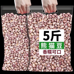 ��؛��؈������r���Ԯa���r�С��ܿ�����l�¶�؈�۶��׶��ּZ