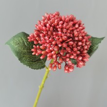 �����֦���[����˼���۲˹����W�ҾӘӰ��g��c����ֱ�����߼ٻ�