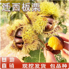 �w��������޽ӷNֲ����������ϱ���ͥԺ�������԰����箔��Y��