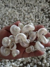 ����ؐ����G�ݼľ�з��Q��ȥƤС�����~���쾰�b[������