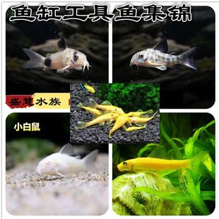 ��̦���~��؈����w�^�p�~ С�͟Ꭷ�~�����~�����~ �~�������