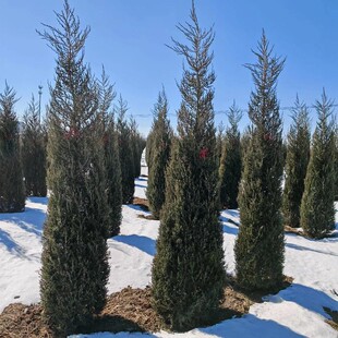 �ؘ�С�������ɰ؂ȱ�؈A���ɘ䌚���������繤�����ľ�ͺ�