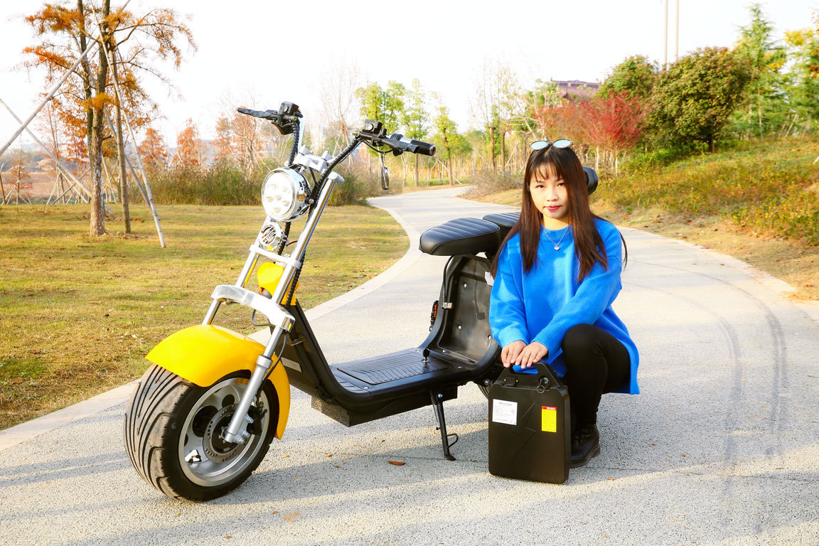 Eec Adult Scooter Two-Wheeled Motorcycle Harley Electric Vehicle 12 Dual Batteries 60V/12A