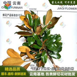 ���m�~�r����֦��c��Ӳ����~���r�л��Ԏ�����ɫ�߼����Ĕz����