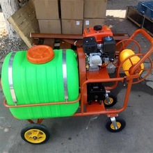 手推式汽油高压喷雾器 拉管式新型打药机 果园果树喷雾器厂家