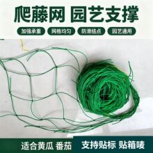 跨境园艺植物爬藤网 瓜果攀爬网花卉植物用定植网Garden  Netting