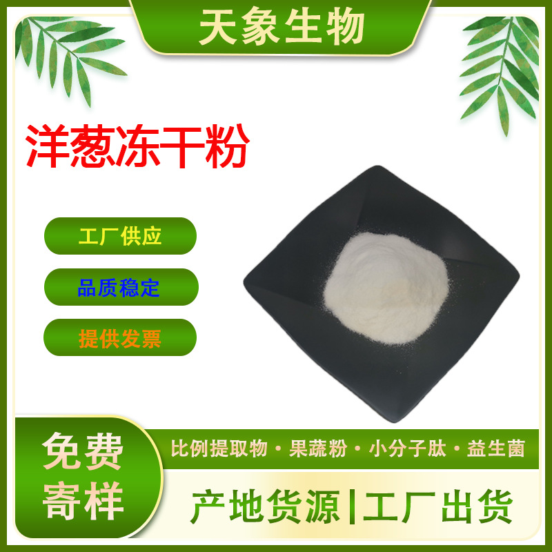 洋葱冻干粉 洋葱粉 洋葱提取物 果蔬冻干粉 厂家供应 现货