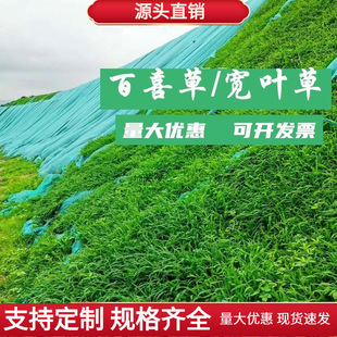 �S�����l���~ȸ�ތ��~�ݷN�Ӱ�ϲ�ݲ����o�¹����͟��ͺ��G������