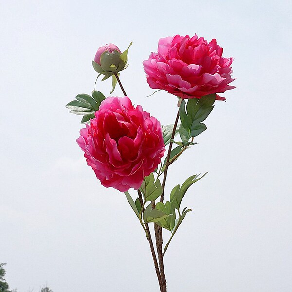 Peony simulation flower peony flower ins home display wedding photo…