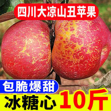 四川大涼山丑蘋果冰糖心水果新鮮應季超脆甜紅富士整箱批發價