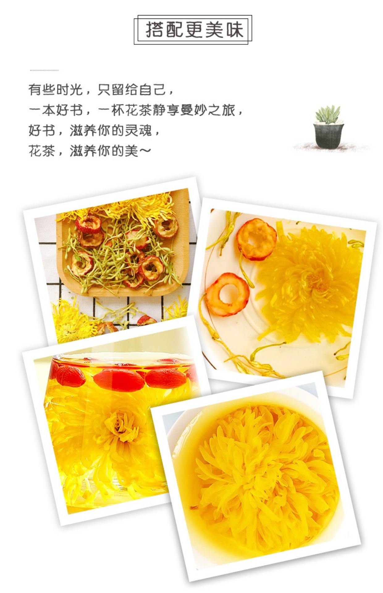 Golden Silk Chrysanthemum Tea Large Blooms Jin Si Huang Ju 50g One Flower Per Cup specifications