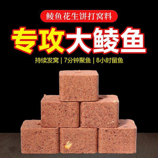 �N�~������K�C�ϻ�����C�����N���K�����h�������~