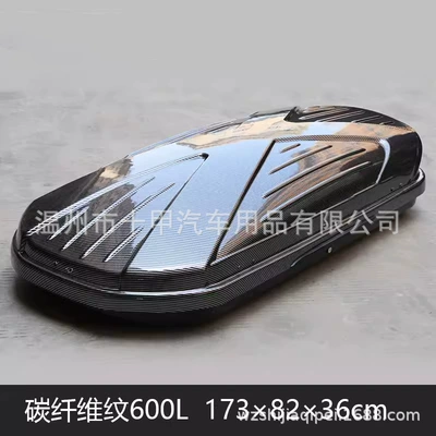 Carbon Fiber Roof Luggage: Roof box
