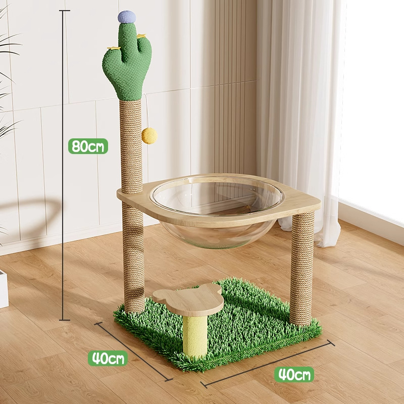 사막의 오아시스 [우주 캡슐] 원목