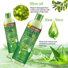�羳����OliveOil�ϙ����J�Cϴ�lˮ�o�l�������̝�ϴ�l¶���Q���l