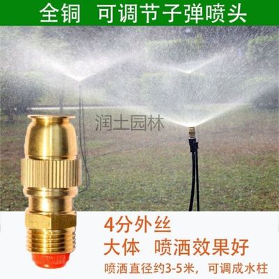 Adjustable bullet Atomizing nozzle Dust fall on construction site Roof cooling gardens Lawn automatic Watering Spray irrigation Nozzle