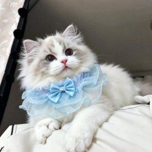 ��������������������Y����؈�乫���L���|�Ȧ�ɐ�����i����l