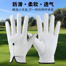 男士高尔夫手套耐磨透气真皮小羊皮左手单只防滑高尔夫手套女批发