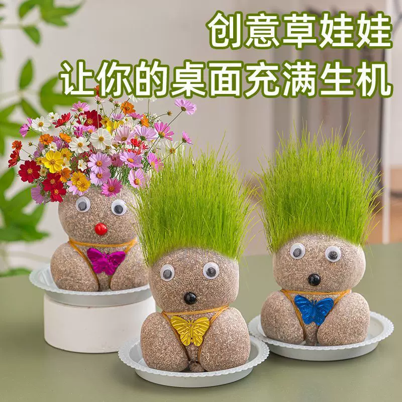 草头娃娃头上长草人小盆栽种植浇水儿童种草幼儿园网红
