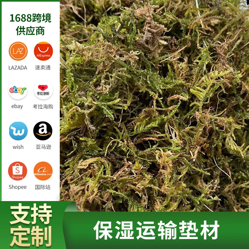 Сухой мох, водный мох, мох, бабочка, орхидея, мясистый дендробиум, питательная почва для размножения, привитая черепаха, зимняя спячка маты оптом
