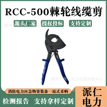 |݆еRCC-500|Q~XД݆|