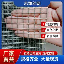 厂家直销镀锌铁丝网镀锌电焊网养殖围栏网建筑网片 规格齐全铁网