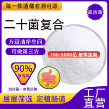 ��ʮ���ͺ�������1000�| �߻������������ɷ� �������ʳƷ���S��