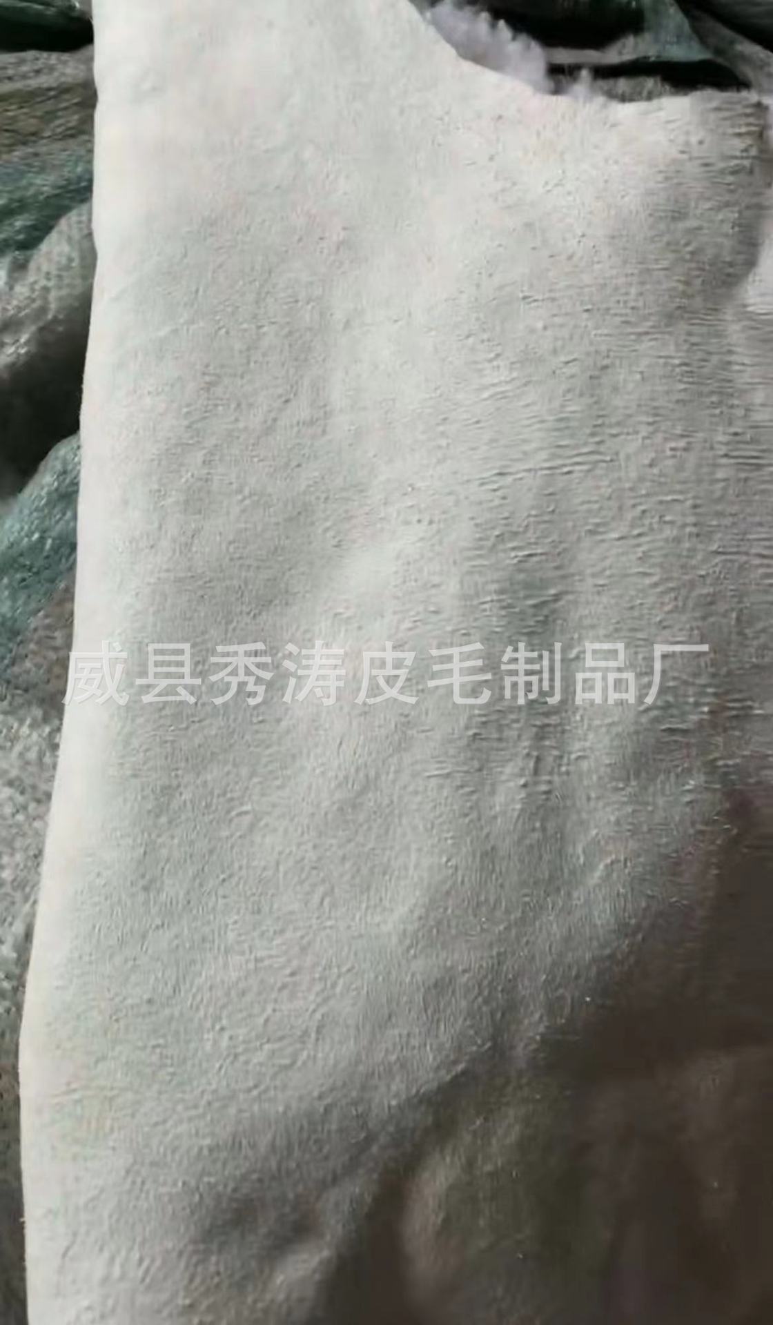 微信图片_20240902121452