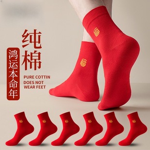 �t���m������t�m����Ůʿ��Ͳ�tɫ���걾�������ϲ�m�ֿ����t�m