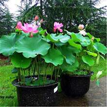 ���ͺɻ��N�ӳ���ˮ�B�ɻ��ļ�ɏź��������ɏ�������^�p��ɏ�N��