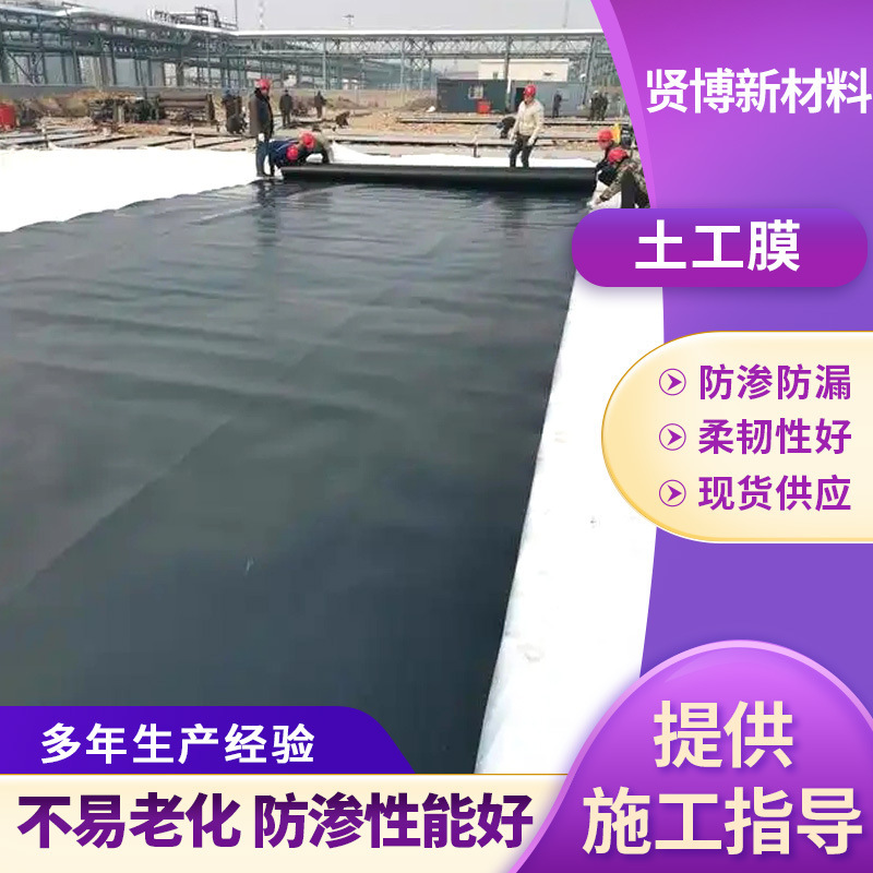 HDPE ジオメンブレン黒膜魚池養殖用トンネル埋立地浸透防止ライナーバイオガスプールジオメンブレン|undefined