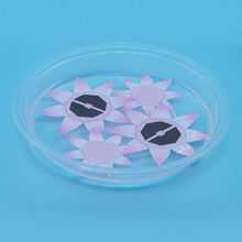 ��ͯdiy�ƌW���ˮ�о`�ŵļ��������̾��׃��@�Ƽ�С�������