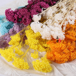������Ưɫ�׻�С�׻����r���滨�ɻ�����diy�����ϰ����Sֱ�N