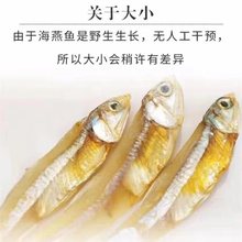 野生淡干海燕鱼干丁香鱼干海蜓鱼干小银鱼公干鱼咸鱼干50/1000