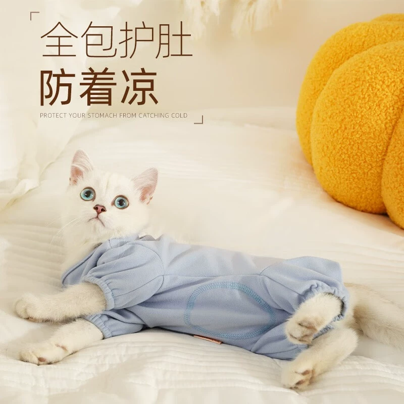 Кошачья одежда осенняя молодая кошка синяя кошка кукольная кошка предотвращает выпадение волос осенью и зимой домашние животные кошки кошки защищают живот