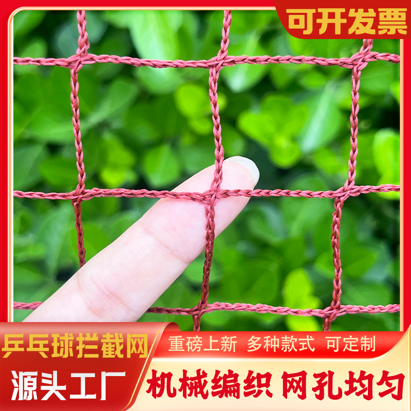 乒乓球拦截网无结网小网孔网孔均匀不漏球携带轻便室内场馆阻隔网