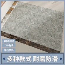 跨境超薄2MM入户不卡门防滑简约地垫家用可随意裁剪玄关入户地毯