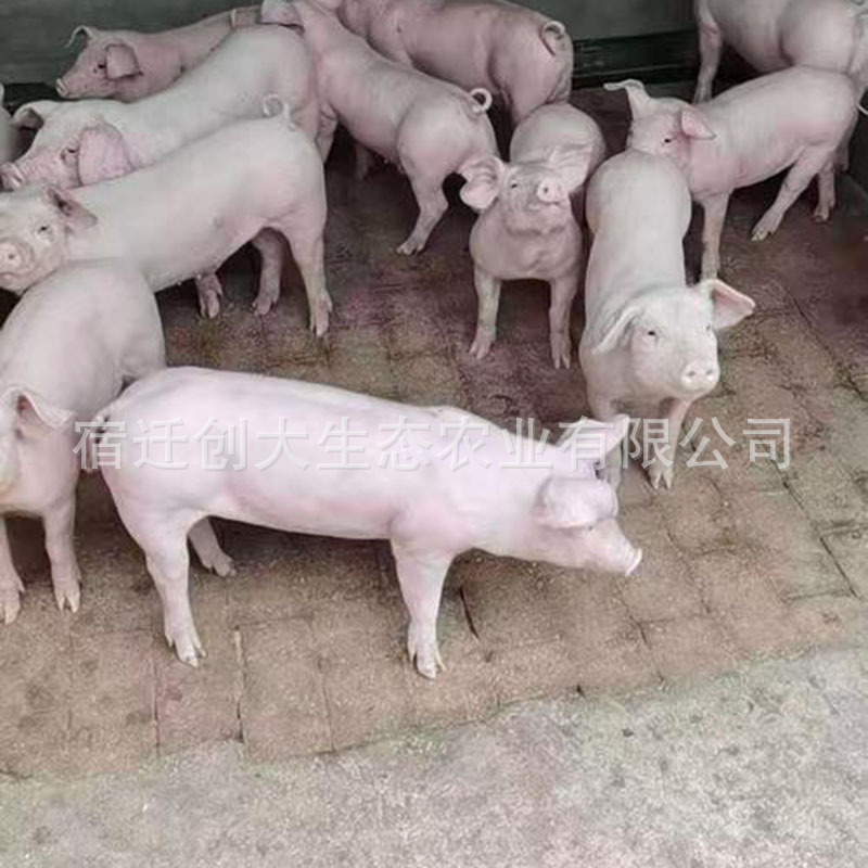 b1353e7328aa84a42906df3b2d2434