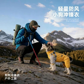 狗狗牵引;狗狗服装;猫猫牵引