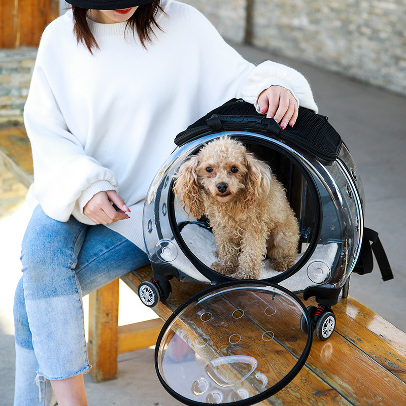 Trolley para mascotas portátil multiusos mochila para mascotas de gran capacidad caja de aire para mascotas bolsa de gato transparente al por mayor