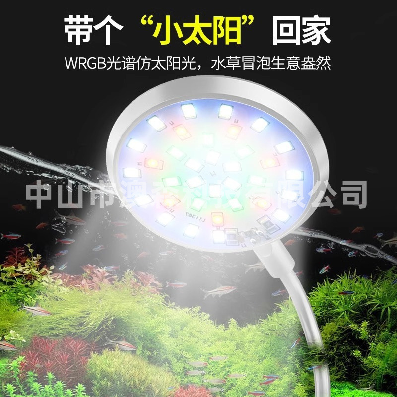 Small Fish Tank Clip Light, Special Aquatic Plant Light for Small Fish Tank, Betta Fish Tank Light, Mini Plant Fill Light, Led Light Waterproof