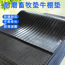 �S���l��ɫ�A�c���������|�i�����������؉|�͉���ĥ�Ӻ����z��