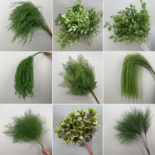 �¿��c����Gֲ���ĵ�픻���Y�廨��ˇ�J���ݽ����G�~�ٻ�����